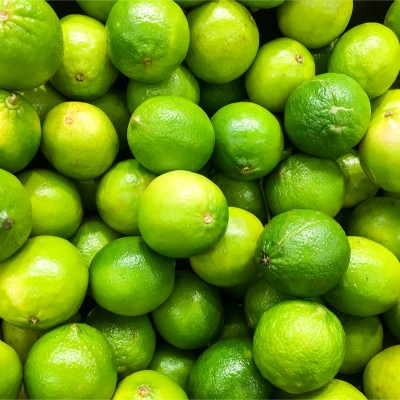 Lime Essential Oil 